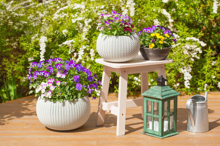 Driekleurig viooltje Mooie foto van een tuinsetting met witte potten met driekleurig viooltje met lantaarn en krukje