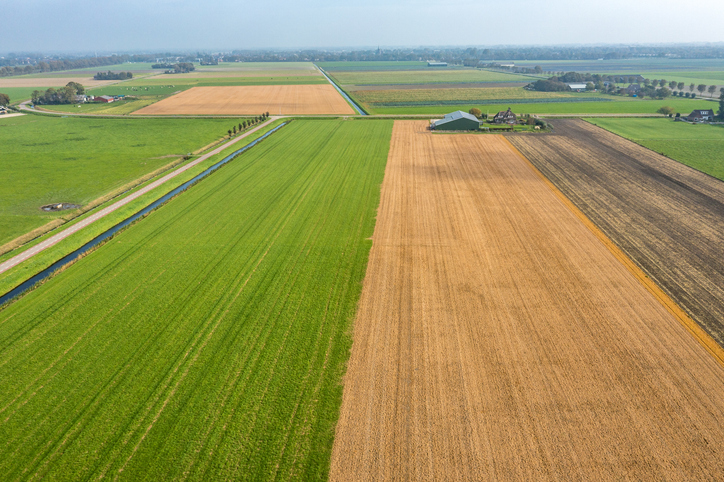 glyfosaat Drone shot, Veld in het voorjaar, het gele veld is behandeld met onkruidverdelgers, glyfosaat. De groene velden worden niet besproeid.
