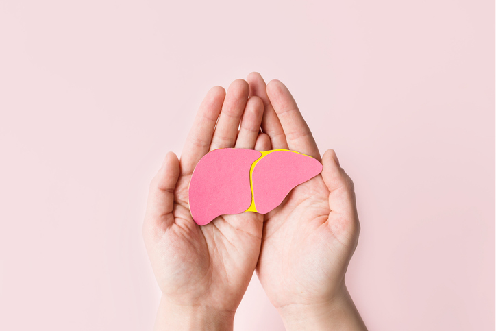 lever Volwassen handen met donatie lever op roze achtergrond. Bewustwording van preventie en behandeling van virale hepatitis.