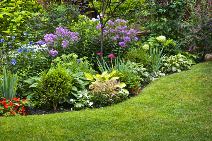 tuinplanten vol bestrijdingsmiddelen Weelderig aangelegde tuin met bloembed en kleurrijke planten