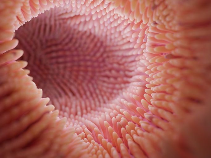 Darmmicrovilli close-up 3d render. Darmmicrobioom en spijsverteringsstelsel van de mens. Hoge kwaliteit 3d illustratie