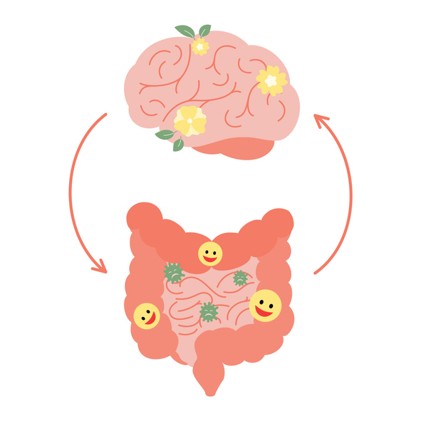 Verbinding van schattige, gezonde, gelukkige hersenen en darmen. Relatie gezondheid van menselijk brein en darmen, tweede brein. Eenheid van mentaal en spijsvertering. Vectorillustratie op witte achtergrond
