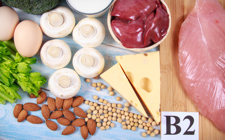 vitamine b2 rijke voeding