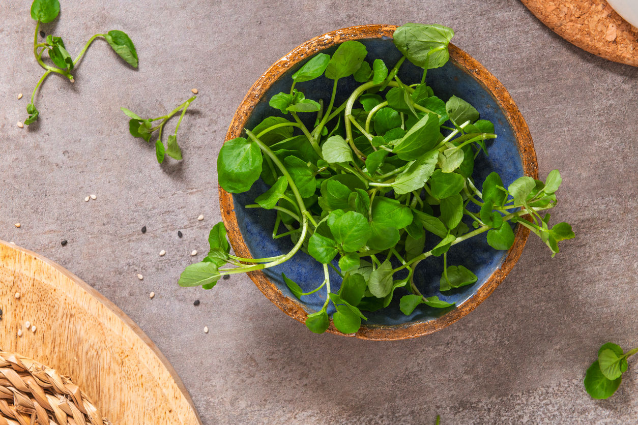 Een kommetje van bovenaf gezien, gevuld met groene waterkers blaadjes